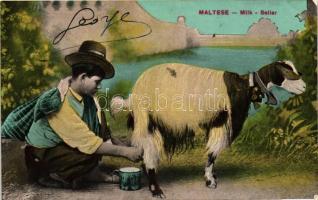 Maltese milk seller