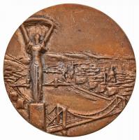 Lessenyei Márta (1930-) ~1970. "Budapest Főváros Tanácsa" Br emlékérem (68mm) T:2-