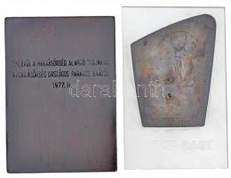 Vincze Dénes (1924-1972) 1960. "Felszabadulásunk 15. évfordulójára" aranyozott Br lemezére...