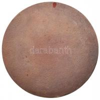 1976. "Hírös Napok Kecskemét 1976 / Kertészeti Élelmiszeripari Gépkiállítás" Br emlékérem ...