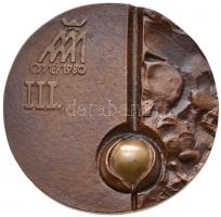 1976. "Hírös Napok Kecskemét 1976 / Kertészeti Élelmiszeripari Gépkiállítás" Br emlékérem ...