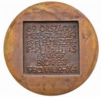 1976. "Hírös Napok Kecskemét 1976 / Kertészeti Élelmiszeripari Gépkiállítás" Br emlékérem ...