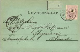 1898 Győr, Zsinagóga, kiadja Polgár Bertalan; floral litho