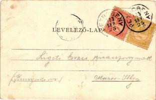 Vulkán, Hunyadi János emlékoszlop; Weisz testvérek kiadása / Hunyadi monument