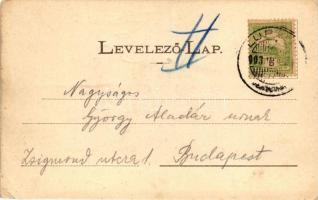 Lupény, Grausam-ház, vasútállomás, bányaigazgatóság, casino; Grausam József kiadása / Grausam house,...