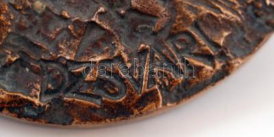 Berényi István?: Dzsvári. Bronz plakett, jelzett, d:9,4 cm