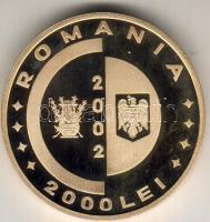 Románia 2002. 2000L "1802-1872 Ion Heliade Radulescu" aranyozott tombak próba! Csak igen alacsony példányszámban készült! T:PP RRR!!!