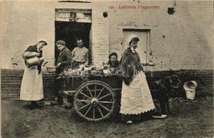 Laitieres Flamandes / Flemish folklore, dairy