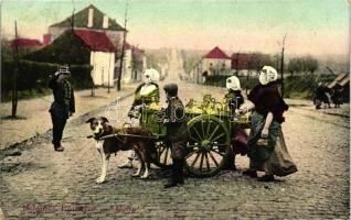 Belgique Laitieres / Belgian folklore, dairy cart (EK)