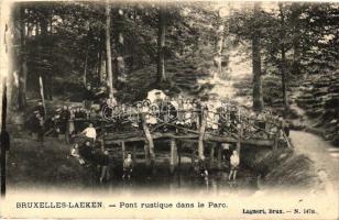 Brussels, Bruxelles; Laeken, Pont rustique dans le Parc / bridge, park