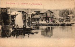 Peschiera del Garda, R. Stazione di Pescicoltura (fl)