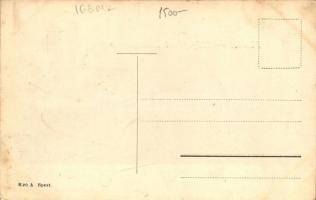 Bleriot repülőgépével Budapesten; kiadja Bíró A. / aviator Bleriot