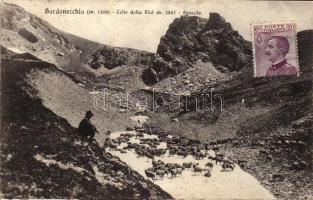 Bardonecchia, Colle della Rho, Pascolo / mountains, sheep flock