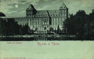 Torino, Castello del Valentino / castle (EK)