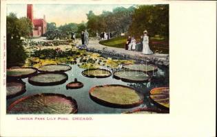 Chicago, Lincoln park lily pond (EK)