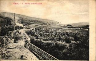 Písek, Vrcovická woods, railway