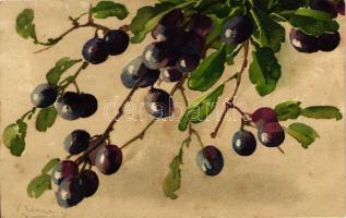 Fruit still life litho s: C. Klein - 5 old postcards