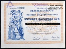 Nagykőrös 1923. "Nagykőrösi Közgazdasági Bank Részvénytársaság" részvénye 3000K-ról, szelvényekkel, bélyegzéssel és szárazpecséttel T:I-,II