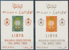 1962 Küzdelem a malária ellen 2 vágott blokk Mi 2-3