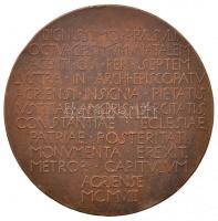 Beck Ötvös Fülöp (1873-1945) 1908. "Samassa József egri érsek" Br emlékérem. "IOSEPHV...