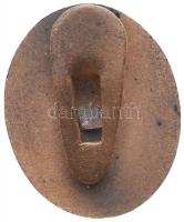 1938. "Református Világgyűlés Debrecen 1938" Br gomblyukjelvény (23x19mm) T:2