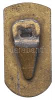 1943. "Mátyás Király Sportév 1943" bronzozott hadifém gomblyukjelvény (30x15mm) T:2-