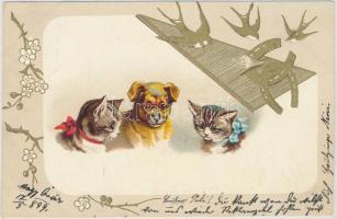 1899 Dog and cats, litho