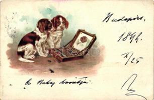 1899 Dogs with mirror, No. 6510. litho