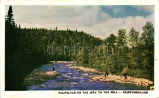 Newfoundland, Pulpwood on the way to the MIll