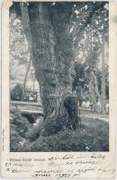 Budapest - 47 db városképes lap, vegyes minőségű