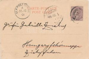 Poozoondoung Creek, Elephant at work