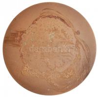 Garamkeszi János (1936-) 1980. "Túri alma mater 1530-1980" Br emlékérem (70mm) T:2 hátolda...