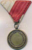 ~1930-1940. "Budapesti Torna Club" Br emlékérem mellszalagon (33mm) T:2