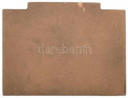 DN "Dunakanyar Intéző Bizottság" Br zománcozott plakett (70x53,5mm) T:2