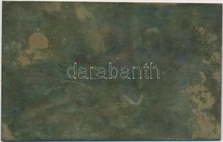 1958. "Országos Mezőgazdasági Kiállítás - Fogatbemutató 1958" maratott rézlemez (79x50mm) ...