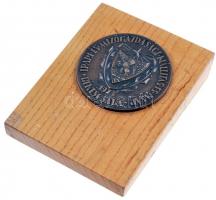 1973. "Ipari és Mezőgazdasági Kiállítás és Várás Békéscsaba 1973" Br emlékérem fa talpon (...