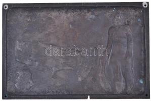 ~1980. "Kiváló Szakszervezeti Munkáért - ÉMG. Szakszervezeti Bizottság" bronzozott Al plak...