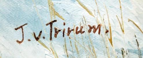 Trirum jelzéssel: Fácán a téli erdőn, olaj, vászon, fa keretben, 48,5×58,5 cm