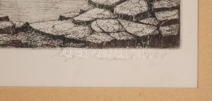 1975 Nyári Lóránt (1928-1982): Vízparti fák. Rézkarc, papír, jelzett, üvegezett keretben, 30×48 cm