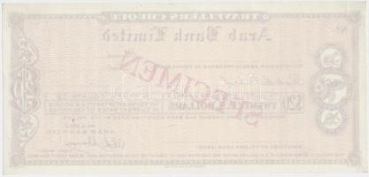 Amerikai Egyesült Államok DN "Arab Bank" 20$ "SPECIMEN" utazási csekk T:I-
USA N...