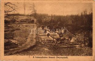 A huszonhatos temető Zwyczynnél / WWI Hungarian military, 26th cemetery (b)