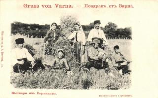 Folklore from Varna, harvest