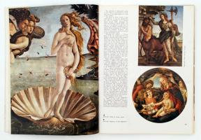 Berti, Luciano: The Uffizi. All paintings Exhibited in 696 Illustrations. The Vasari Corridor. Sok f...