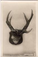 Jagdausstellung 1937 Foto AK