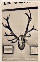 Jagdausstellung 1937 Foto AK