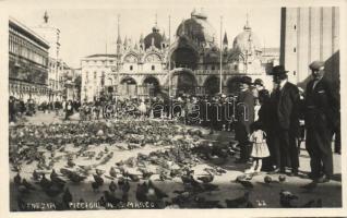 Venice, Venezia; St Mark's Basilica, pigeons