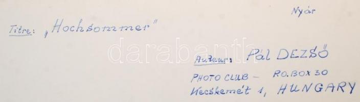 cca 1960 Dezső Pál (Kecskemét): Nyár, a szerző által  feliratozott vintage fotóművészeti alkotás, 30...