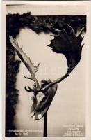 Jagdausstellung 1937 Foto AK