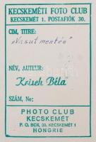 cca 1950 Krisch Béla (Kecskemét) Vasút mentén, pecséttel jelzett vintage, fotóművészeti alkotás,  36...