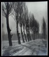 cca 1938 Reich Péter Cornel: Kora tavasz, publikálva az Új Időkben, feliratozva, vintage fotó a szerző hagyatékából, 27,5x23 cm